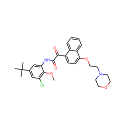 COc1c(Cl)cc(C(C)(C)C)cc1NC(=O)C(=O)c1ccc(OCCN2CCOCC2)c2ccccc12 ZINC000058512684