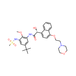 COc1c(NC(=O)[C@H](O)c2ccc(OCCN3CCOCC3)c3ccccc23)cc(C(C)(C)C)cc1NS(C)(=O)=O ZINC000058534179