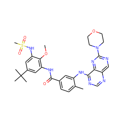 COc1c(NC(=O)c2ccc(C)c(Nc3ncnc4cnc(N5CCOCC5)nc34)c2)cc(C(C)(C)C)cc1NS(C)(=O)=O ZINC000148244204