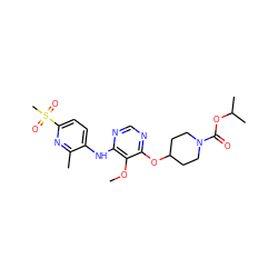 COc1c(Nc2ccc(S(C)(=O)=O)nc2C)ncnc1OC1CCN(C(=O)OC(C)C)CC1 ZINC000038256220