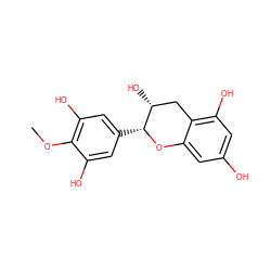 COc1c(O)cc([C@H]2Oc3cc(O)cc(O)c3C[C@H]2O)cc1O ZINC000005998626