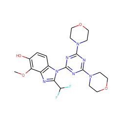 COc1c(O)ccc2c1nc(C(F)F)n2-c1nc(N2CCOCC2)nc(N2CCOCC2)n1 ZINC000073156458