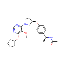 COc1c(OC2CCCC2)ncnc1N1CC[C@@H](Oc2ccc([C@H](C)NC(C)=O)cc2)C1 ZINC000261144958