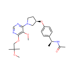 COc1c(OCC(C)(C)OC)ncnc1N1CC[C@@H](Oc2ccc([C@H](C)NC(C)=O)cc2)C1 ZINC000221215445