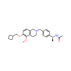 COc1c(OCC2CCC2)ccc2c1CCN(Cc1ccc([C@H](C)NC(C)=O)cc1)C2 ZINC001772579765