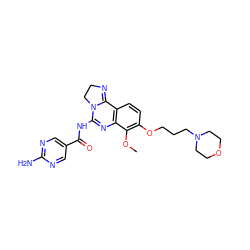 COc1c(OCCCN2CCOCC2)ccc2c1N=C(NC(=O)c1cnc(N)nc1)N1CCN=C21 ZINC000068247389