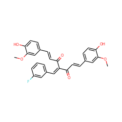 COc1cc(/C=C/C(=O)C(=Cc2cccc(F)c2)C(=O)/C=C/c2ccc(O)c(OC)c2)ccc1O ZINC000066077292