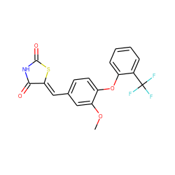 COc1cc(/C=C2\SC(=O)NC2=O)ccc1Oc1ccccc1C(F)(F)F ZINC000066066337