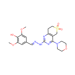 COc1cc(/C=N/Nc2nc3c(c(N4CCOCC4)n2)CS(=O)(=O)CC3)cc(OC)c1O ZINC000299820815