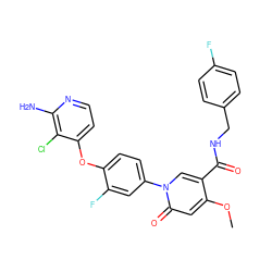 COc1cc(=O)n(-c2ccc(Oc3ccnc(N)c3Cl)c(F)c2)cc1C(=O)NCc1ccc(F)cc1 ZINC000205994521