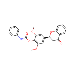 COc1cc([C@@H]2CC(=O)c3ccccc3O2)cc(OC)c1OC(=O)Nc1ccccc1 ZINC000098084337