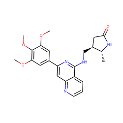 COc1cc(-c2cc3ncccc3c(NC[C@H]3CC(=O)N[C@@H]3C)n2)cc(OC)c1OC ZINC000114020494