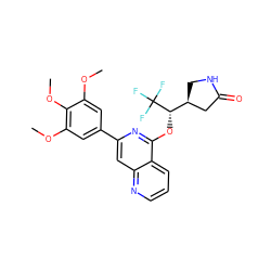 COc1cc(-c2cc3ncccc3c(O[C@@H]([C@H]3CNC(=O)C3)C(F)(F)F)n2)cc(OC)c1OC ZINC000141865321