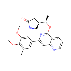 COc1cc(-c2cc3ncccc3c(O[C@H](C)[C@H]3CNC(=O)C3)n2)cc(C)c1OC ZINC000141946437