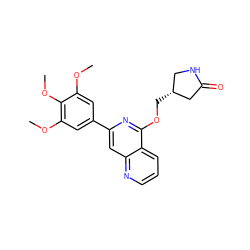 COc1cc(-c2cc3ncccc3c(OC[C@@H]3CNC(=O)C3)n2)cc(OC)c1OC ZINC000141878084