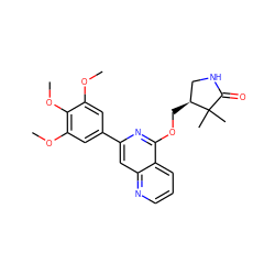 COc1cc(-c2cc3ncccc3c(OC[C@H]3CNC(=O)C3(C)C)n2)cc(OC)c1OC ZINC000141902101