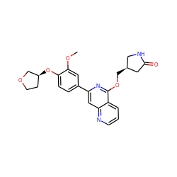 COc1cc(-c2cc3ncccc3c(OC[C@H]3CNC(=O)C3)n2)ccc1O[C@H]1CCOC1 ZINC000141905363