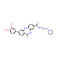 COc1cc(-c2ccc3c(c2)Nc2ccc(C(=O)NCCCN4CCCC4)cc2NC3=O)ccc1O ZINC000043016809