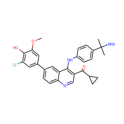 COc1cc(-c2ccc3ncc(C(=O)C4CC4)c(Nc4ccc(C(C)(C)N)cc4)c3c2)cc(Cl)c1O ZINC000203988502