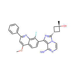 COc1cc(-c2ccccc2)nc2c(F)c(-c3nc([C@H]4C[C@@](C)(O)C4)n4ccnc(N)c34)ccc12 ZINC000261187019
