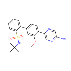 COc1cc(-c2ccccc2S(=O)(=O)NC(C)(C)C)ccc1-c1cnc(N)cn1 ZINC000224776969