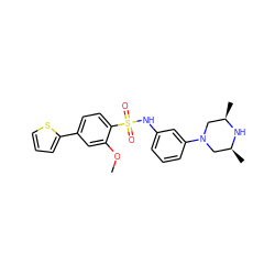 COc1cc(-c2cccs2)ccc1S(=O)(=O)Nc1cccc(N2C[C@H](C)N[C@H](C)C2)c1 ZINC000038217127