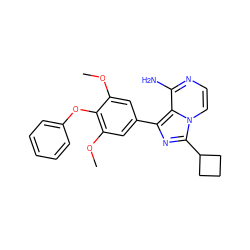 COc1cc(-c2nc(C3CCC3)n3ccnc(N)c23)cc(OC)c1Oc1ccccc1 ZINC000096168118