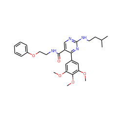 COc1cc(-c2nc(NCCC(C)C)ncc2C(=O)NCCOc2ccccc2)cc(OC)c1OC ZINC000040846436