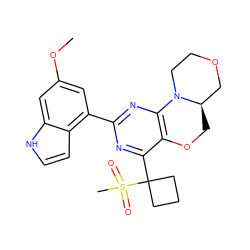 COc1cc(-c2nc3c(c(C4(S(C)(=O)=O)CCC4)n2)OC[C@@H]2COCCN32)c2cc[nH]c2c1 ZINC000218322010