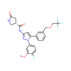 COc1cc(-n2nc(NC(=O)[C@@H]3CNC(=O)C3)cc2-c2cccc(COCC(F)(F)F)c2)ccc1F ZINC000169707333