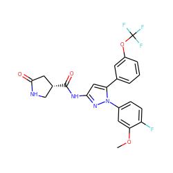 COc1cc(-n2nc(NC(=O)[C@@H]3CNC(=O)C3)cc2-c2cccc(OC(F)(F)F)c2)ccc1F ZINC000169707337