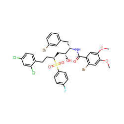 COc1cc(Br)c(C(=O)N[C@@H](Cc2cccc(Br)c2)[C@H](O)C[C@H](CCc2ccc(Cl)cc2Cl)S(=O)(=O)c2ccc(F)cc2)cc1OC ZINC000150527741