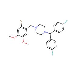 COc1cc(Br)c(CN2CCN(C(c3ccc(F)cc3)c3ccc(F)cc3)CC2)cc1OC ZINC000036286989