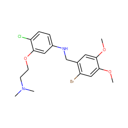 COc1cc(Br)c(CNc2ccc(Cl)c(OCCN(C)C)c2)cc1OC ZINC000095603597