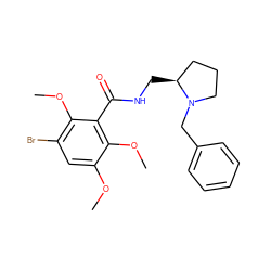 COc1cc(Br)c(OC)c(C(=O)NC[C@H]2CCCN2Cc2ccccc2)c1OC ZINC000013820611