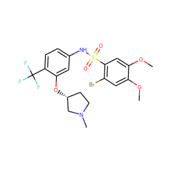 COc1cc(Br)c(S(=O)(=O)Nc2ccc(C(F)(F)F)c(O[C@@H]3CCN(C)C3)c2)cc1OC ZINC000001553794