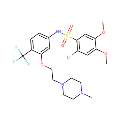 COc1cc(Br)c(S(=O)(=O)Nc2ccc(C(F)(F)F)c(OCCN3CCN(C)CC3)c2)cc1OC ZINC000095604499