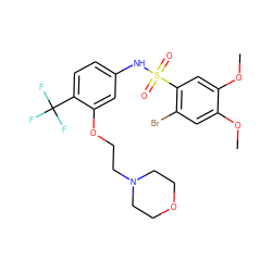 COc1cc(Br)c(S(=O)(=O)Nc2ccc(C(F)(F)F)c(OCCN3CCOCC3)c2)cc1OC ZINC000095601453