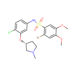 COc1cc(Br)c(S(=O)(=O)Nc2ccc(Cl)c(O[C@@H]3CCN(C)C3)c2)cc1OC ZINC000042881303