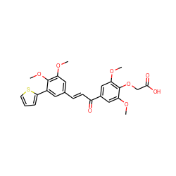 COc1cc(C(=O)/C=C/c2cc(OC)c(OC)c(-c3cccs3)c2)cc(OC)c1OCC(=O)O ZINC000029323315