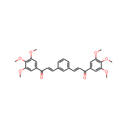 COc1cc(C(=O)/C=C/c2cccc(/C=C/C(=O)c3cc(OC)c(OC)c(OC)c3)c2)cc(OC)c1OC ZINC000169310184