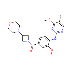 COc1cc(C(=O)N2CC(N3CCOCC3)C2)ccc1Nc1ncc(Br)c(OC)n1 ZINC000169705065