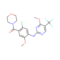 COc1cc(C(=O)N2CCOCC2)c(Cl)cc1Nc1ncc(C(F)(F)F)c(OC)n1 ZINC000169705157