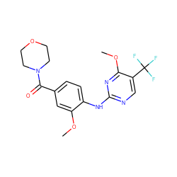 COc1cc(C(=O)N2CCOCC2)ccc1Nc1ncc(C(F)(F)F)c(OC)n1 ZINC000169705158