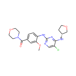 COc1cc(C(=O)N2CCOCC2)ccc1Nc1ncc(Cl)c(N[C@@H]2CCOC2)n1 ZINC000169705127