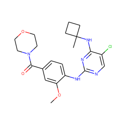 COc1cc(C(=O)N2CCOCC2)ccc1Nc1ncc(Cl)c(NC2(C)CCC2)n1 ZINC000169705069