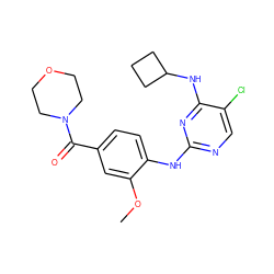 COc1cc(C(=O)N2CCOCC2)ccc1Nc1ncc(Cl)c(NC2CCC2)n1 ZINC000169705060