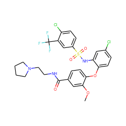 COc1cc(C(=O)NCCN2CCCC2)ccc1Oc1ccc(Cl)cc1NS(=O)(=O)c1ccc(Cl)c(C(F)(F)F)c1 ZINC000068150106