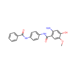 COc1cc(C(=O)Nc2ccc(NC(=O)c3ccccc3)cc2)c(N)cc1O ZINC000299820239