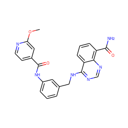 COc1cc(C(=O)Nc2cccc(CNc3ncnc4c(C(N)=O)cccc34)c2)ccn1 ZINC000166982027